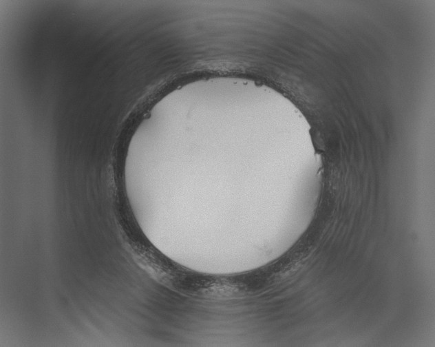 X0000073840256200609071548