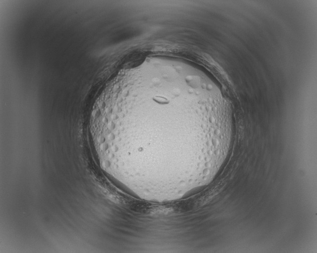 X0000073840257200609071548