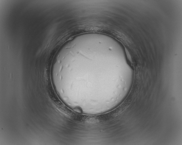 X0000073840258200609071548