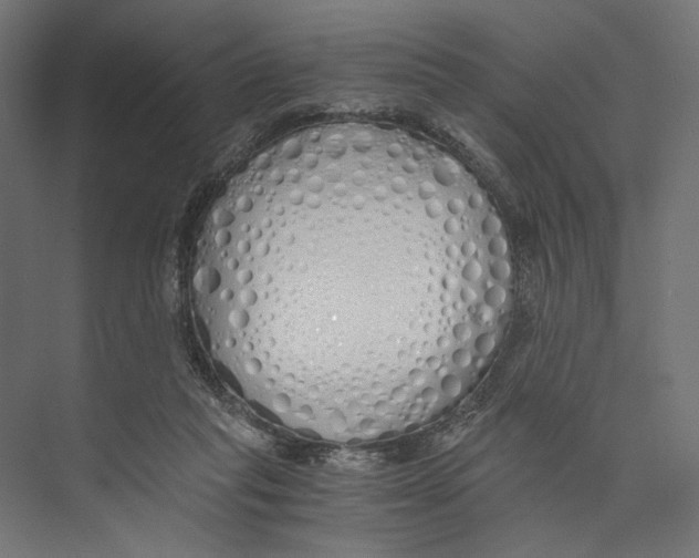 X0000073840261200609071548