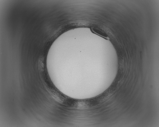 X0000073840264200609071549