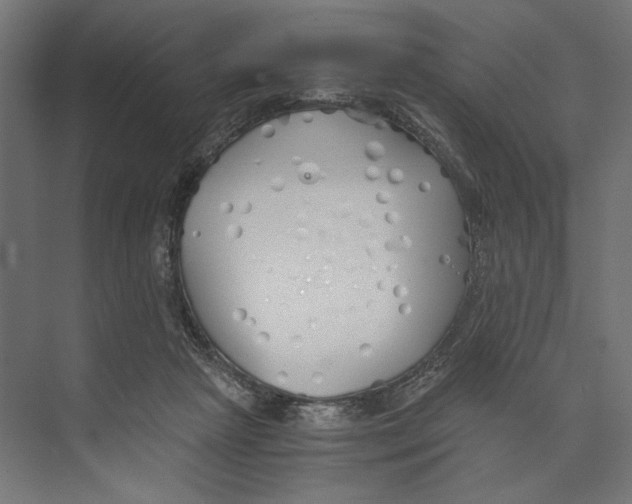 X0000073840265200609071549