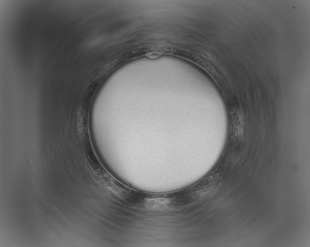 X0000073840266200609071549