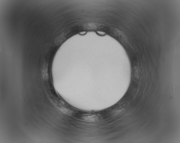 X0000073840267200609071549