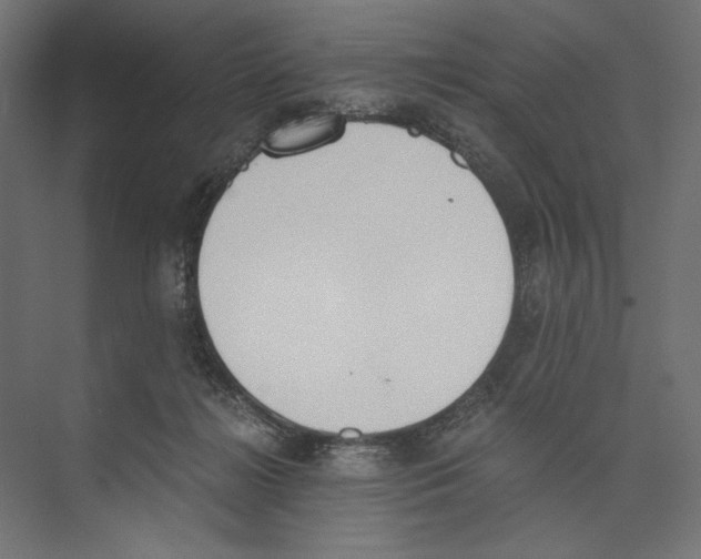 X0000073840268200609071549