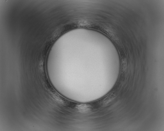 X0000073840269200609071549