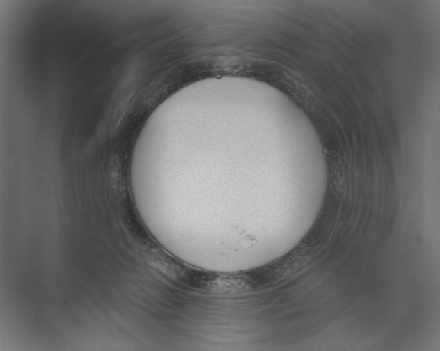 X0000073840270200609071549