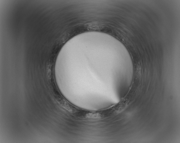 X0000073840271200609071549