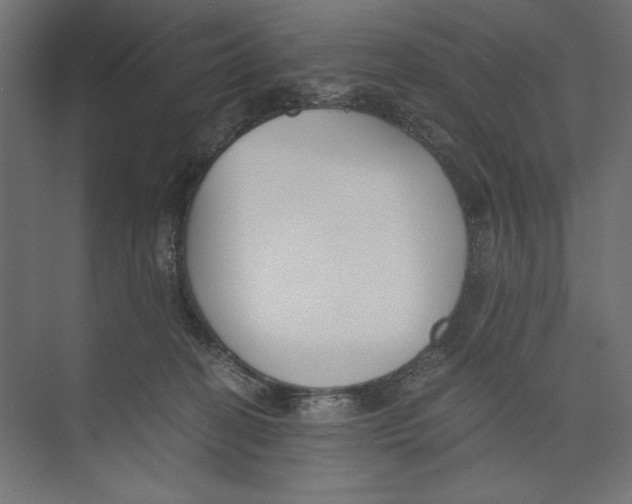 X0000073840274200609071549