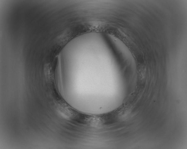 X0000073840276200609071549