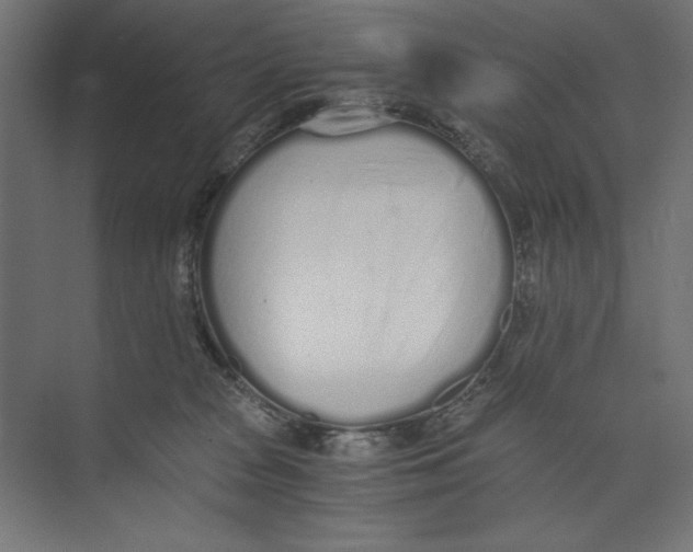 X0000073840277200609071549