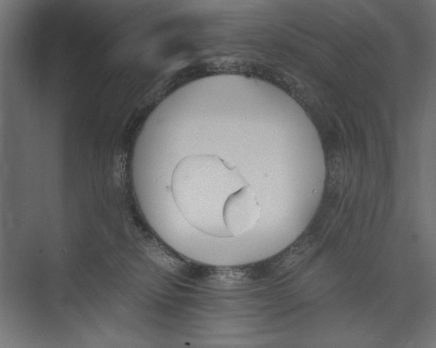 X0000073840278200609071549