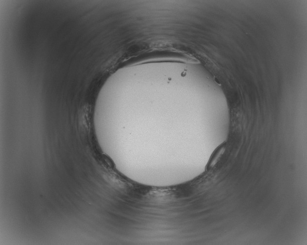 X0000073840280200609071549