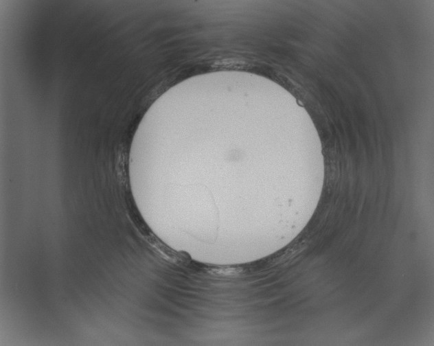 X0000073840281200609071549