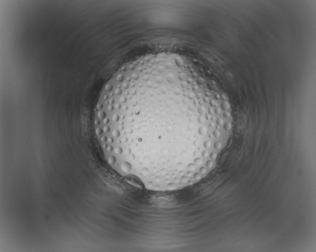 X0000073840283200609071549