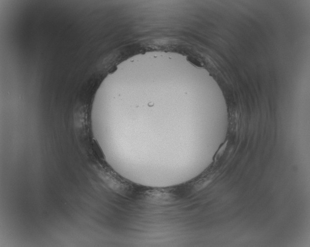 X0000073840284200609071549