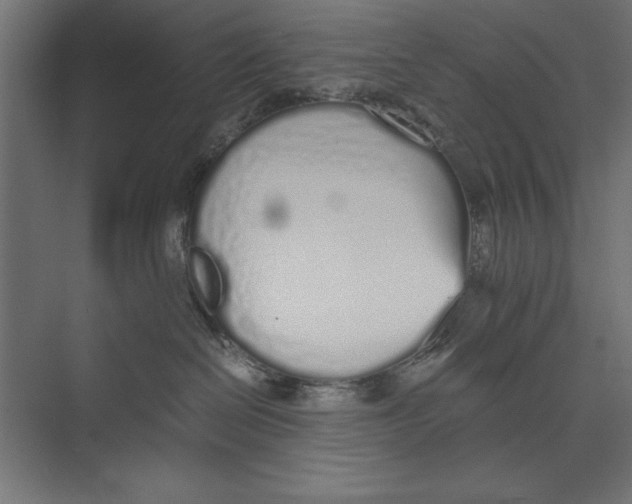 X0000073840286200609071549