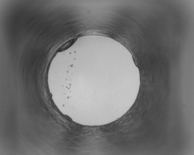 X0000073840289200609071548