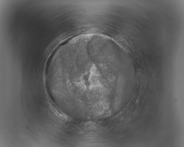 X0000073840290200609071548