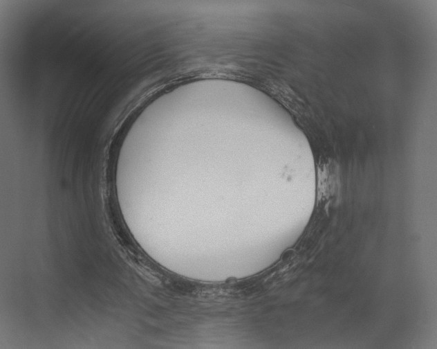 X0000073840291200609071548