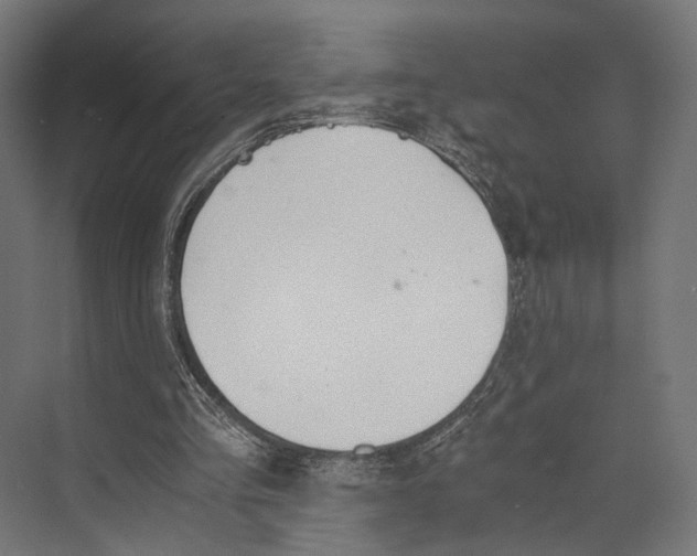 X0000073840293200609071548