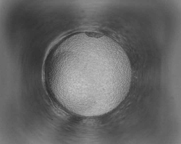 X0000073840294200609071548