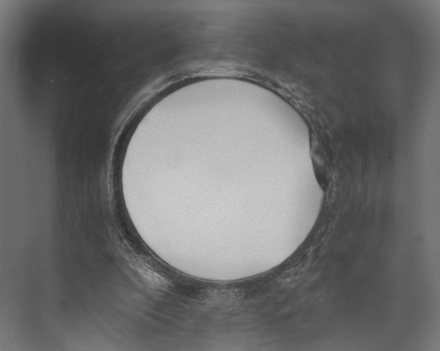 X0000073840296200609071548