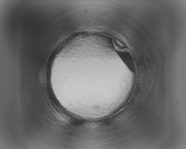 X0000073840299200609071548