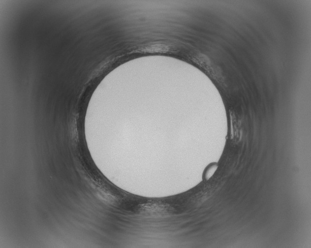 X0000073840300200609071548