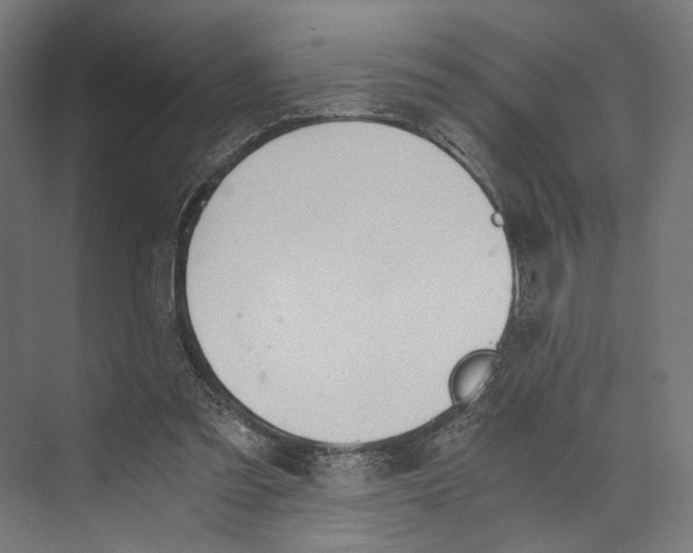 X0000073840301200609071548