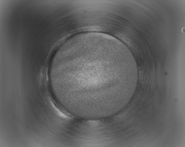 X0000073840302200609071548