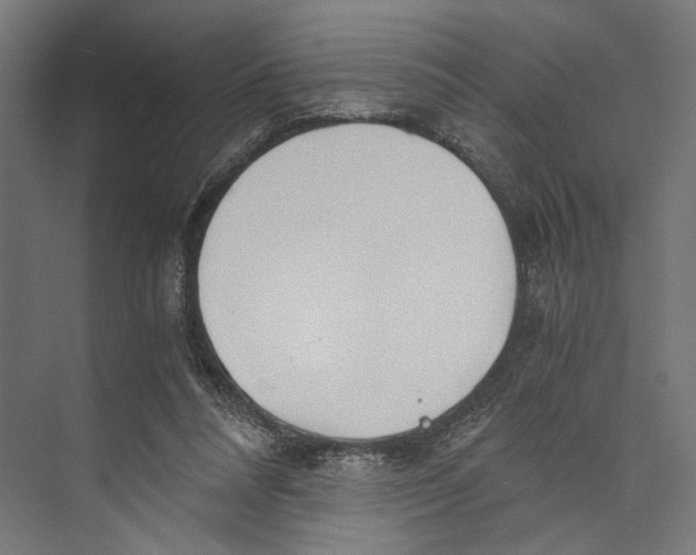 X0000073840304200609071548