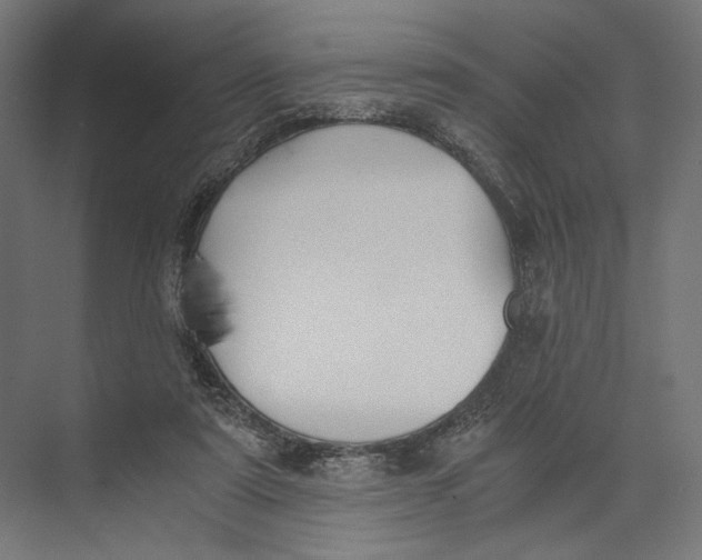 X0000073840307200609071548