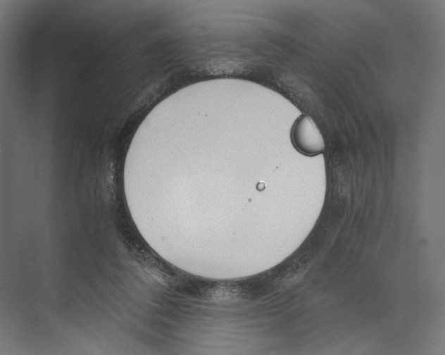 X0000073840308200609071548