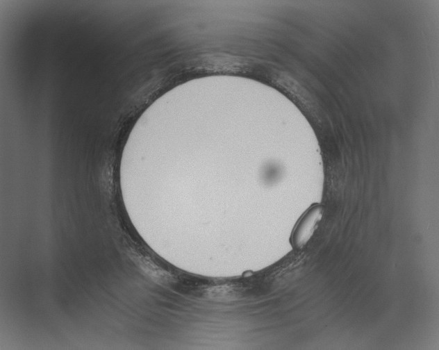 X0000073840309200609071548