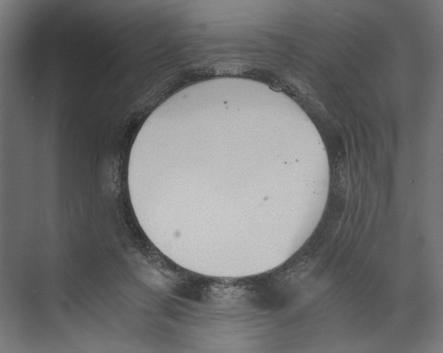 X0000073840311200609071548