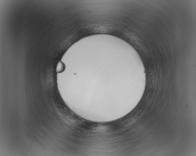 X0000073840312200609071548