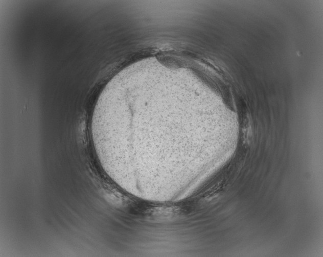 X0000073840314200609071548