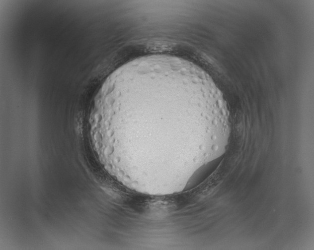 X0000073840315200609071548