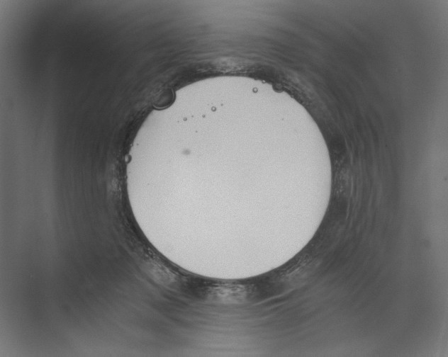 X0000073840317200609071548