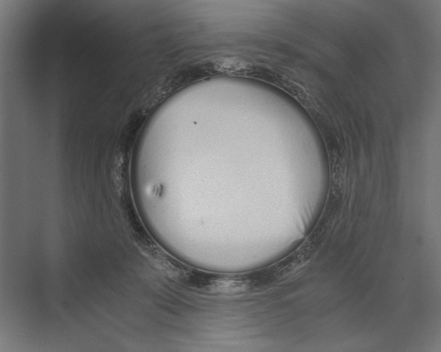 X0000073840319200609071548