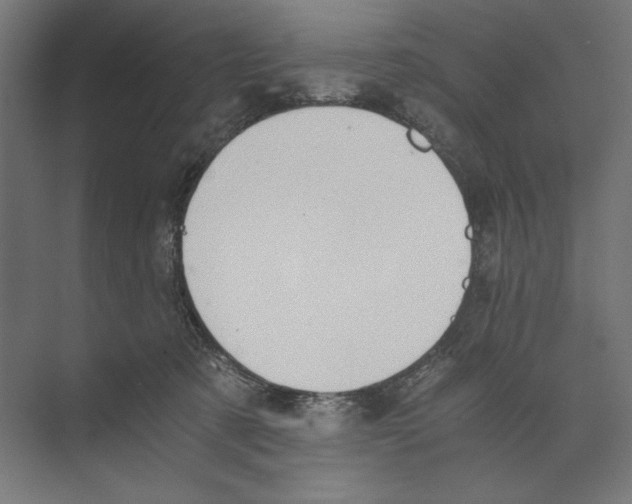 X0000073840321200609071548