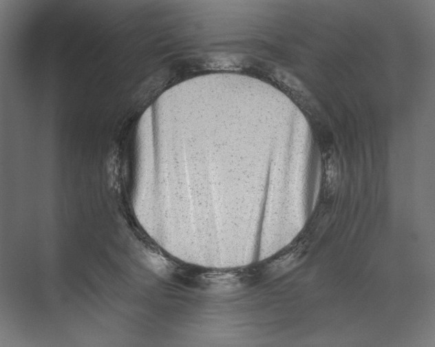 X0000073840322200609071548