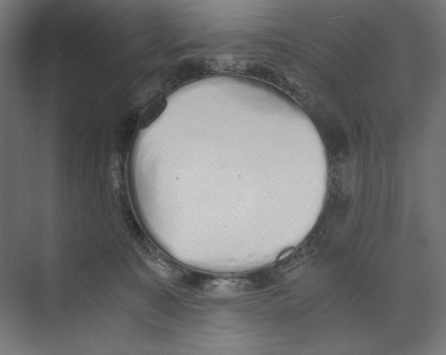 X0000073840323200609071548