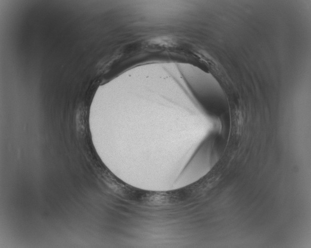 X0000073840325200609071548