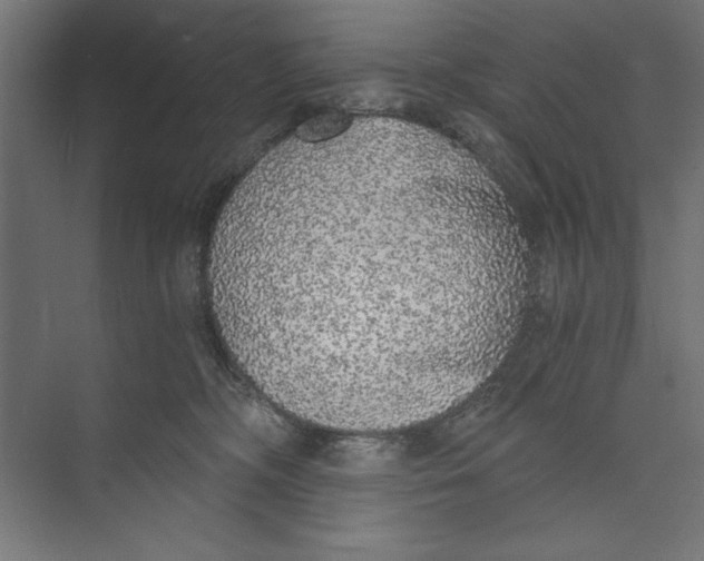 X0000073840326200609071547