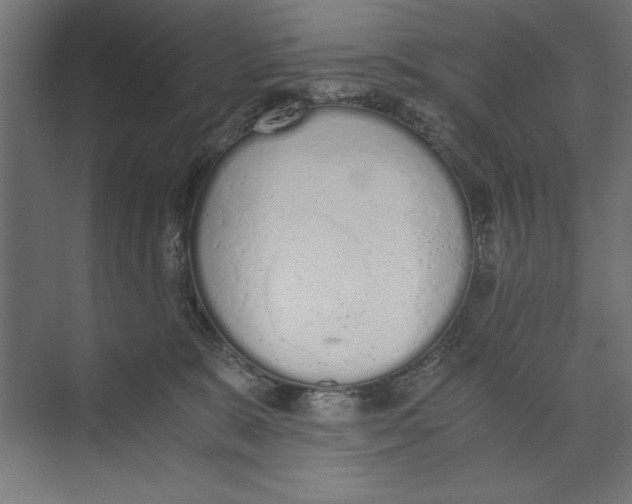 X0000073840327200609071547