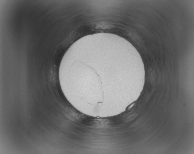 X0000073840328200609071547