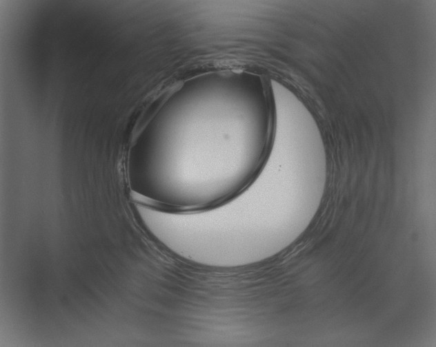 X0000073840329200609071547