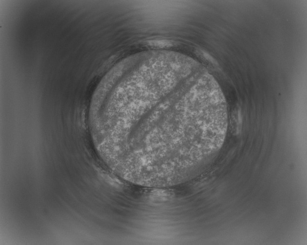 X0000073840330200609071547